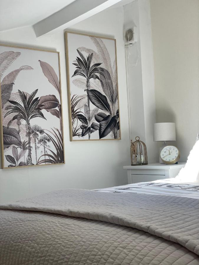 Magnifique T2 Duplex Secteur Gare/Theatre Apartment Sete Ngoại thất bức ảnh